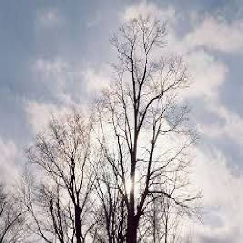 عباس بابایی مجلسی زیبا